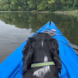 Meet your Posher, Stacey